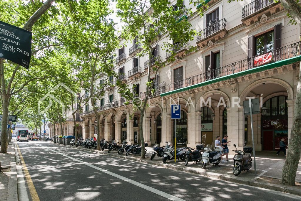 Renovated flat for rent in Ciutat vella, Barcelona