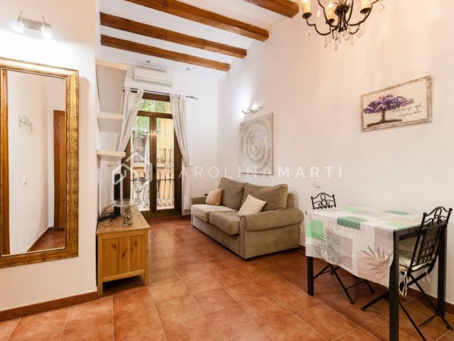 APARTMENT FOR RENT IN CALLE MARGARIT